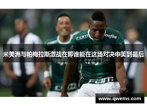 米美洲与帕梅拉斯激战在即谁能在这场对决中笑到最后